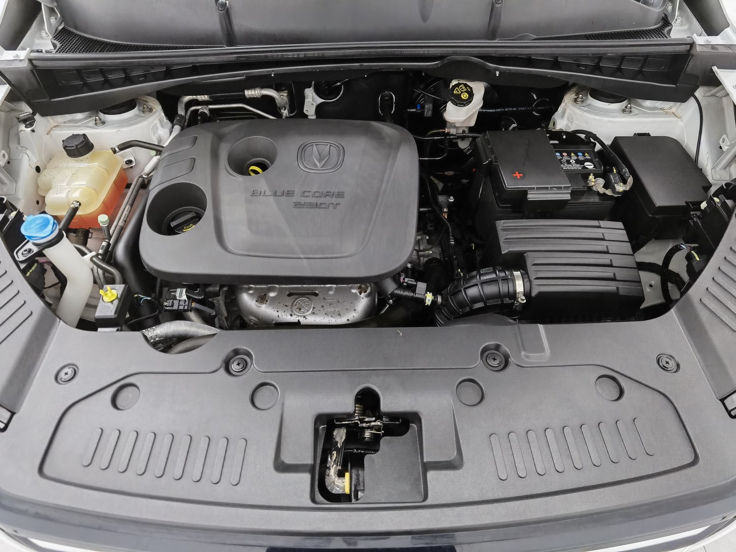 Used Changan CS55 PLUS 2020 1.5 MT