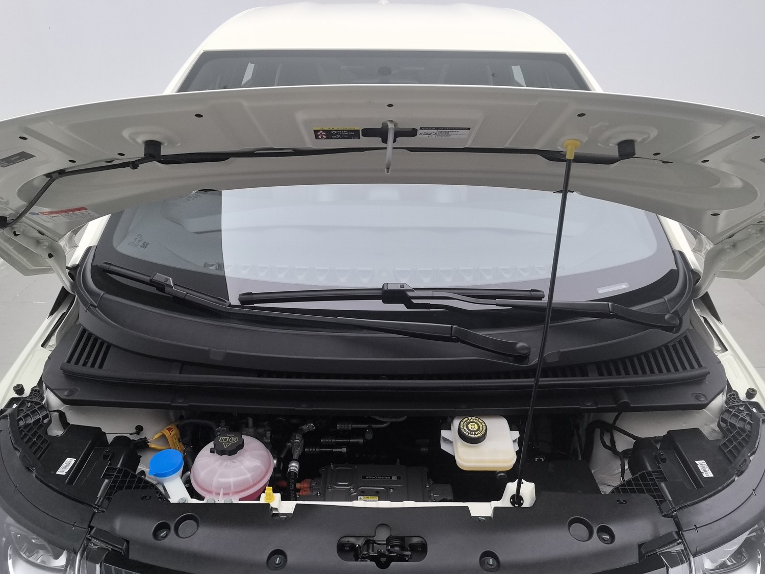 Used BYD Dolphin 2025