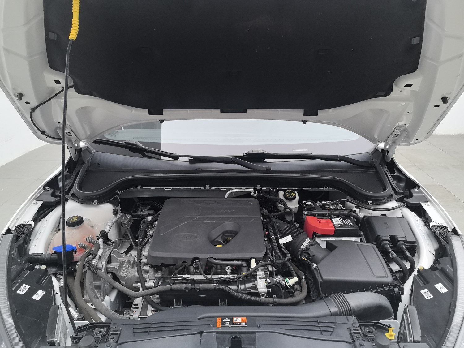 Used Ford Focus 2021 1.5 AT