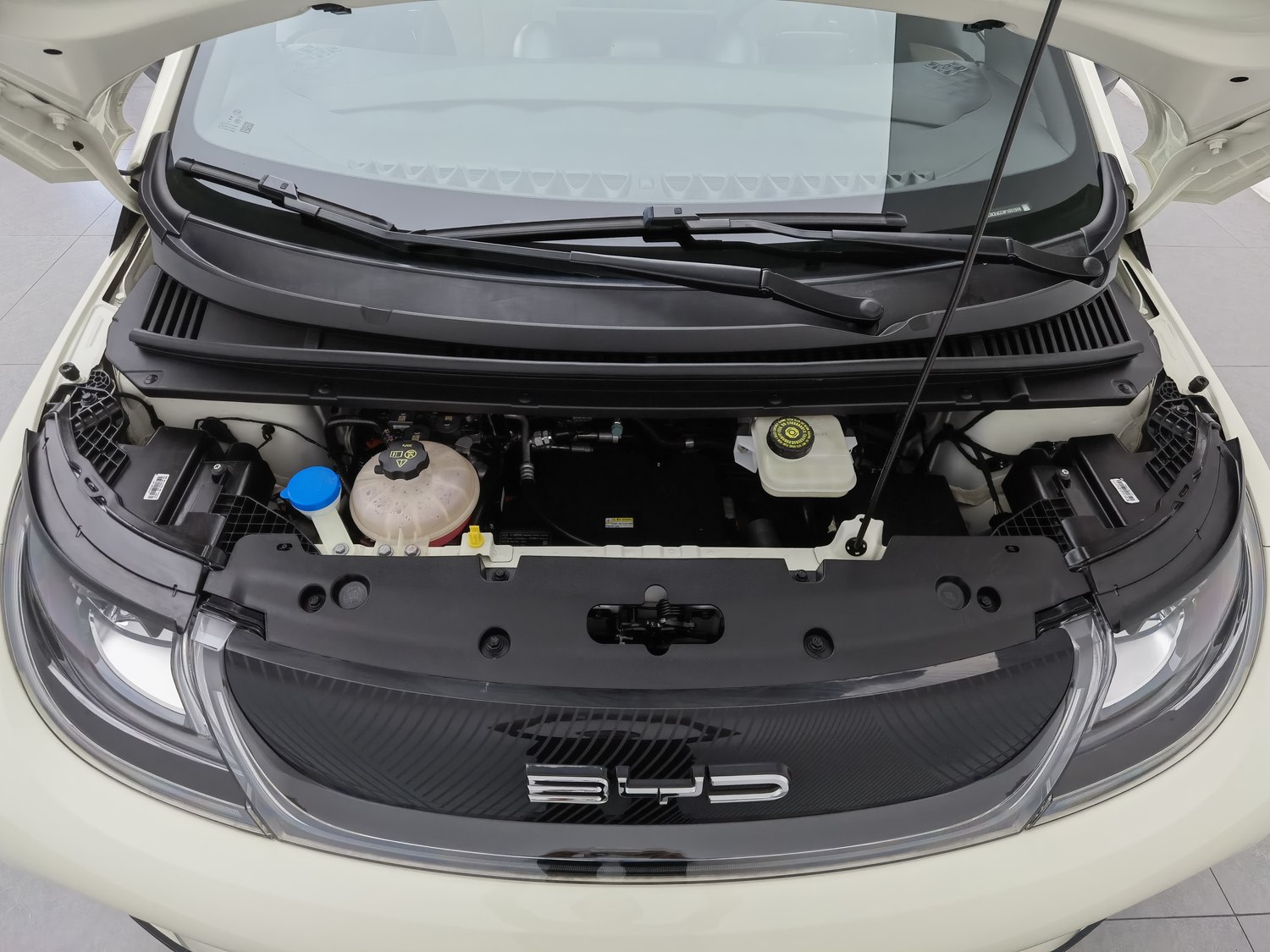 Used BYD Dolphin 2023