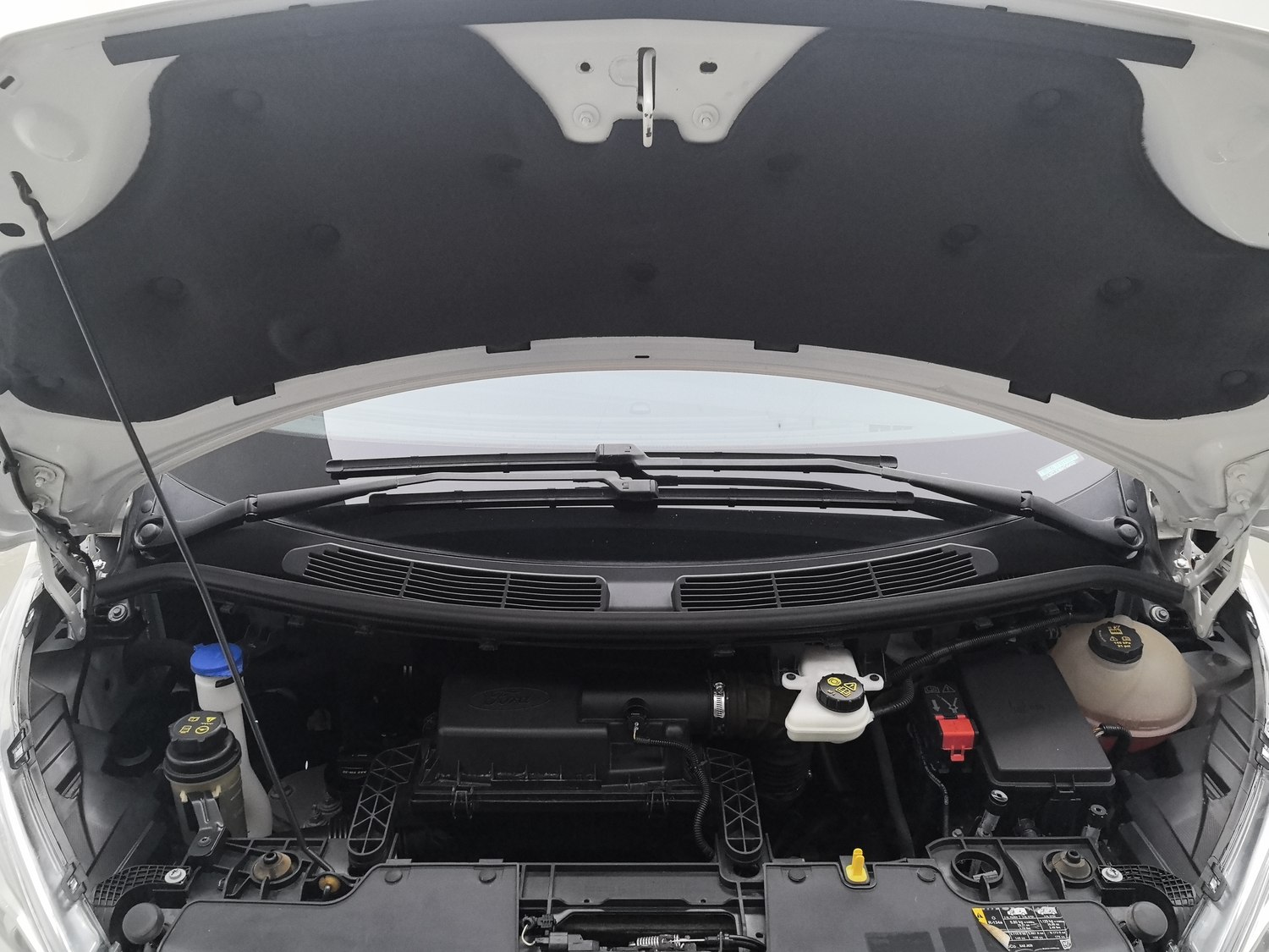 Used Ford Tourneo 2017 2.0 AT