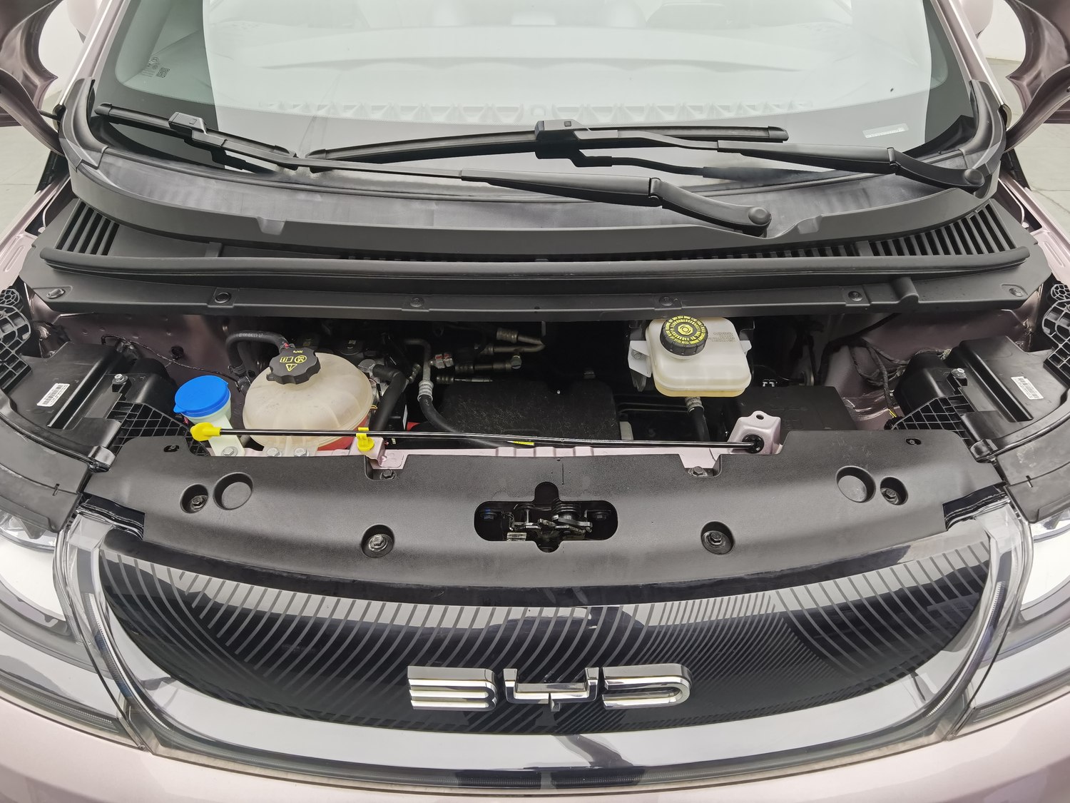 Used BYD Dolphin 2021
