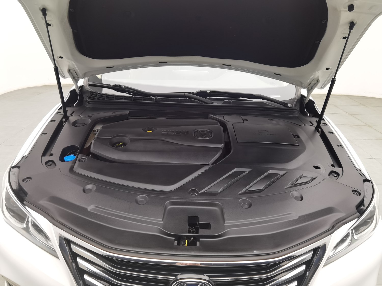 Used Changan Raeton CC 2018 1.5 AT
