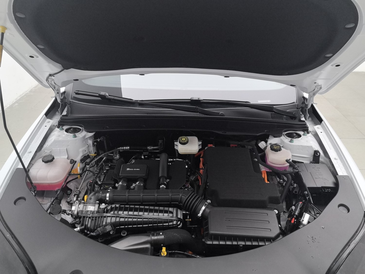 Used BYD Qin PLUS 2025 1.5 AT