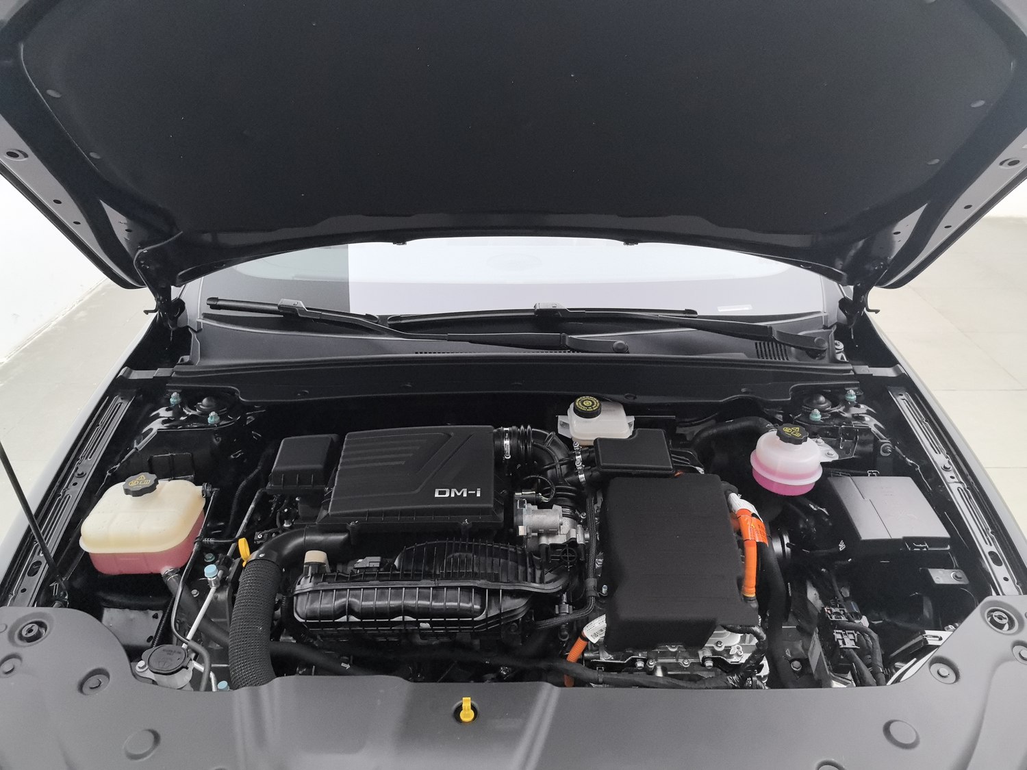Used BYD Qin PLUS 2024 1.5 AT
