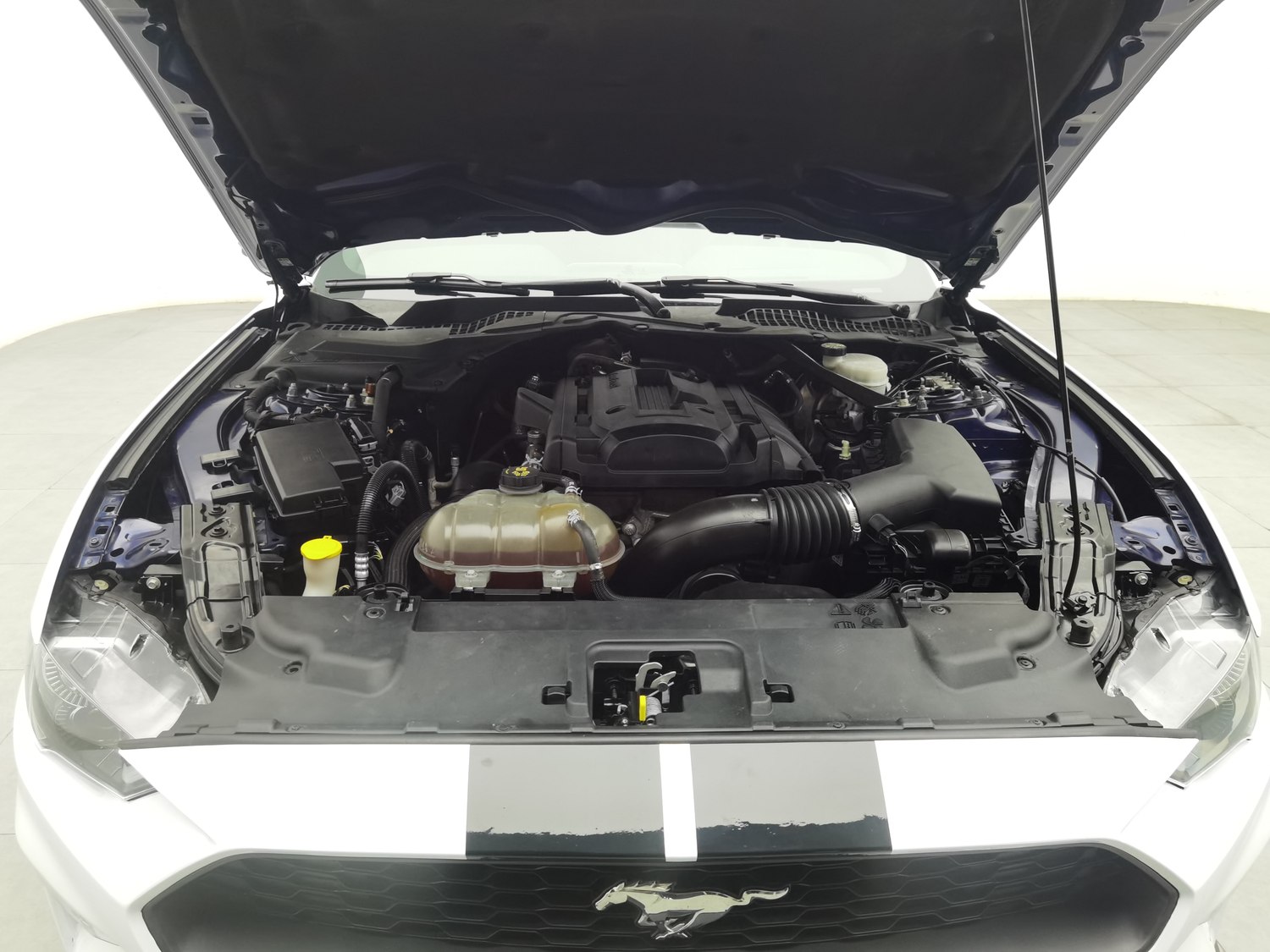 Used Ford Mustang 2019 2.3 AT