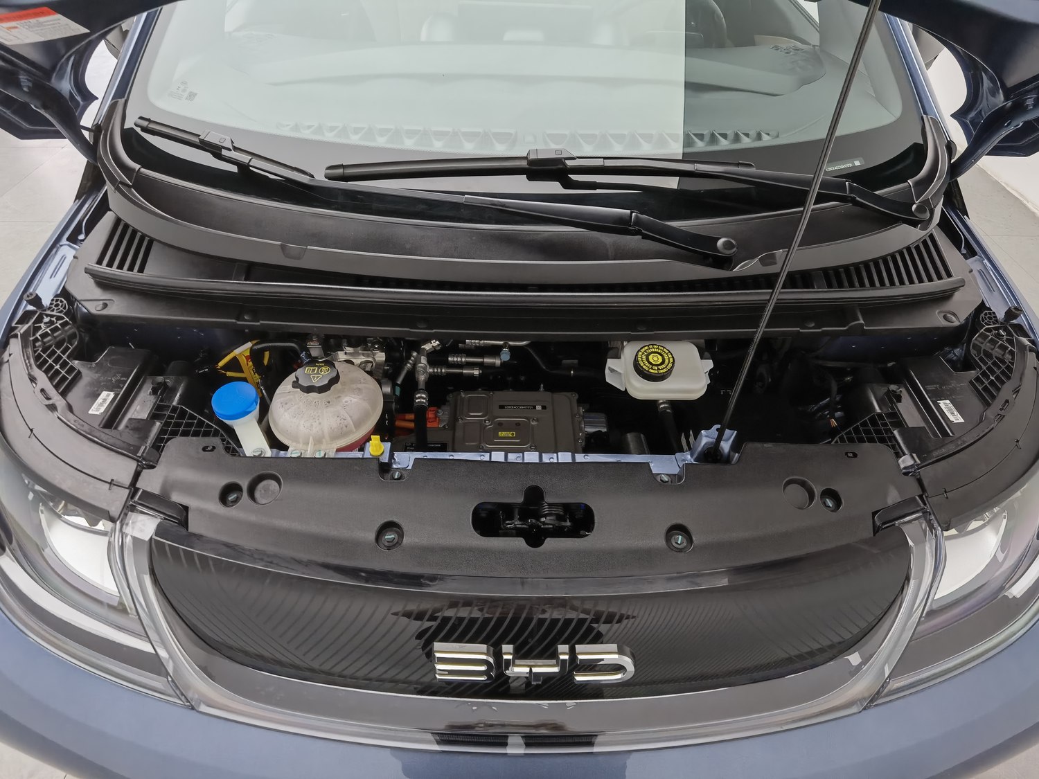 Used BYD Dolphin 2025