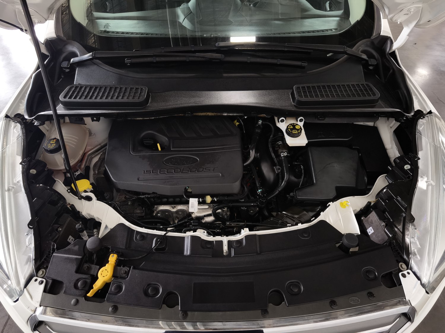 Used Ford Kuga 2019 1.5 AT