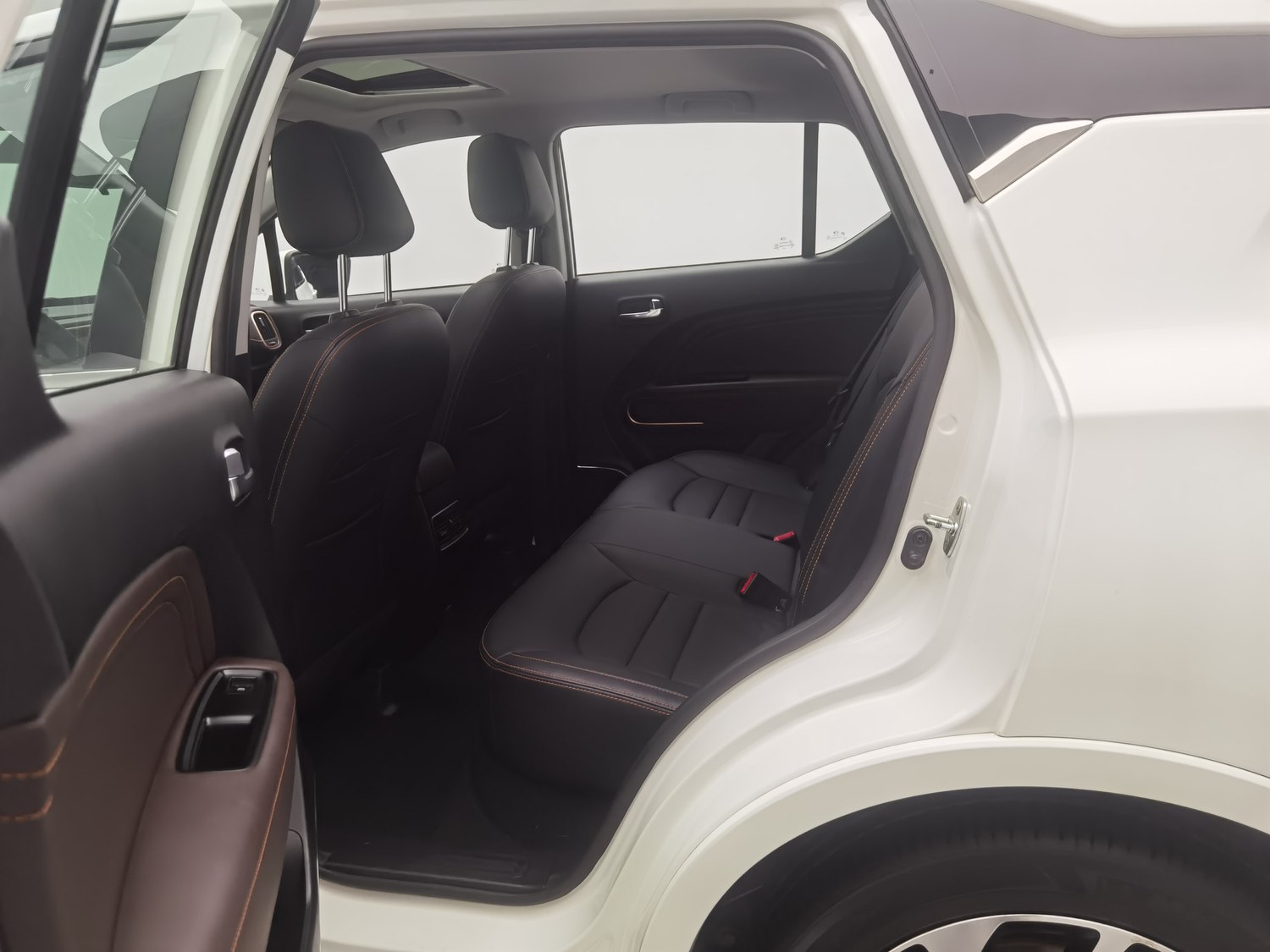 Used GAC 祺智EV 2019