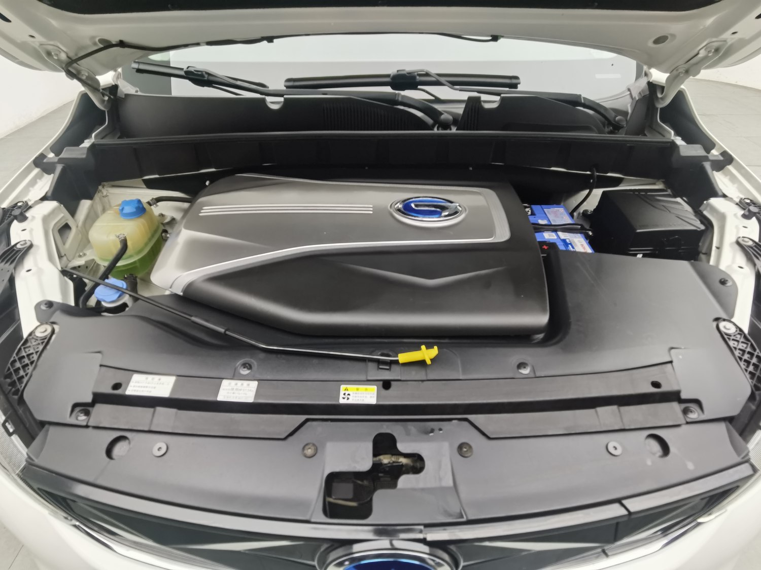 Used GAC 祺智EV 2019