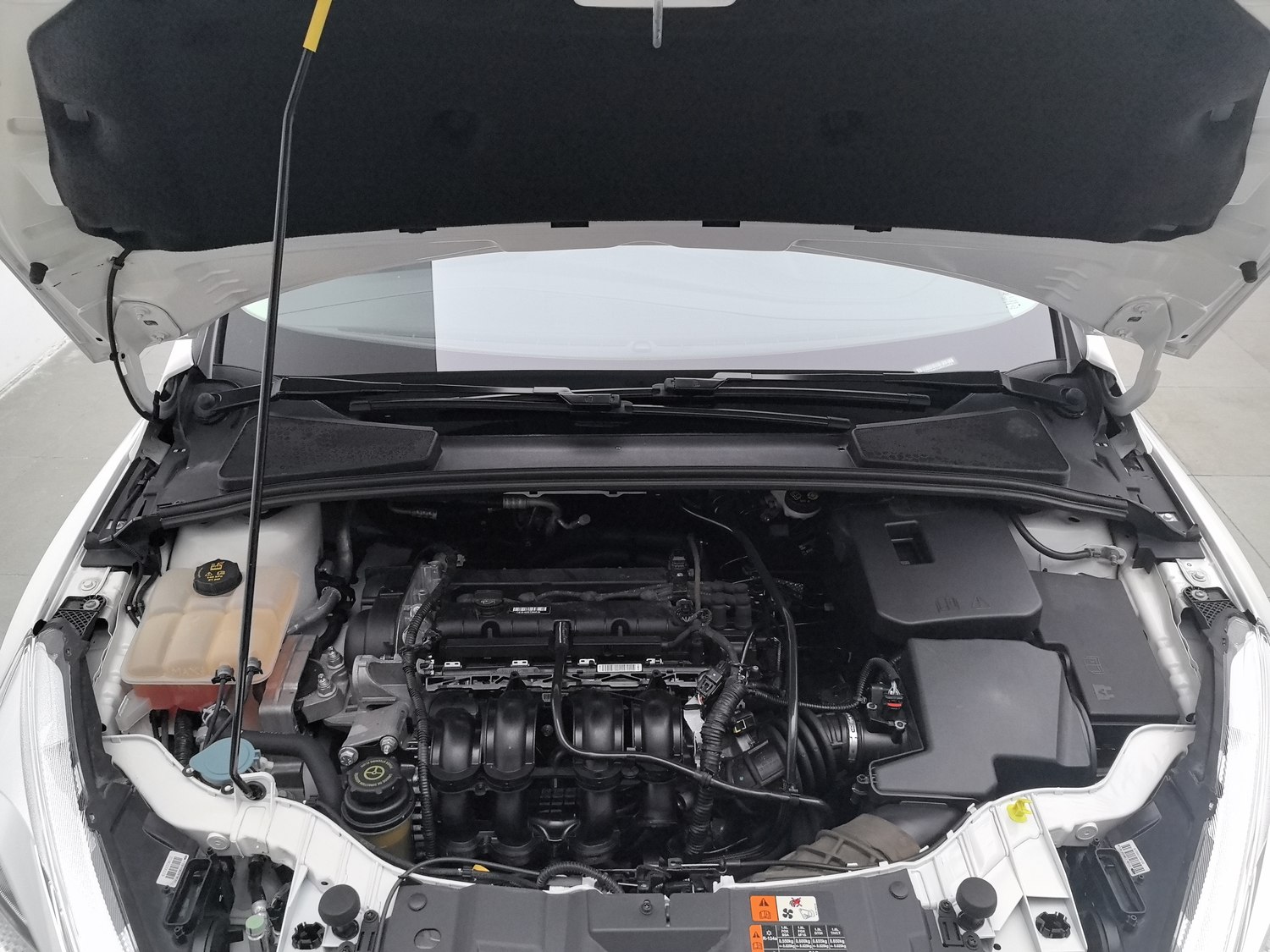 Used Ford Focus 2018 1.6 MT