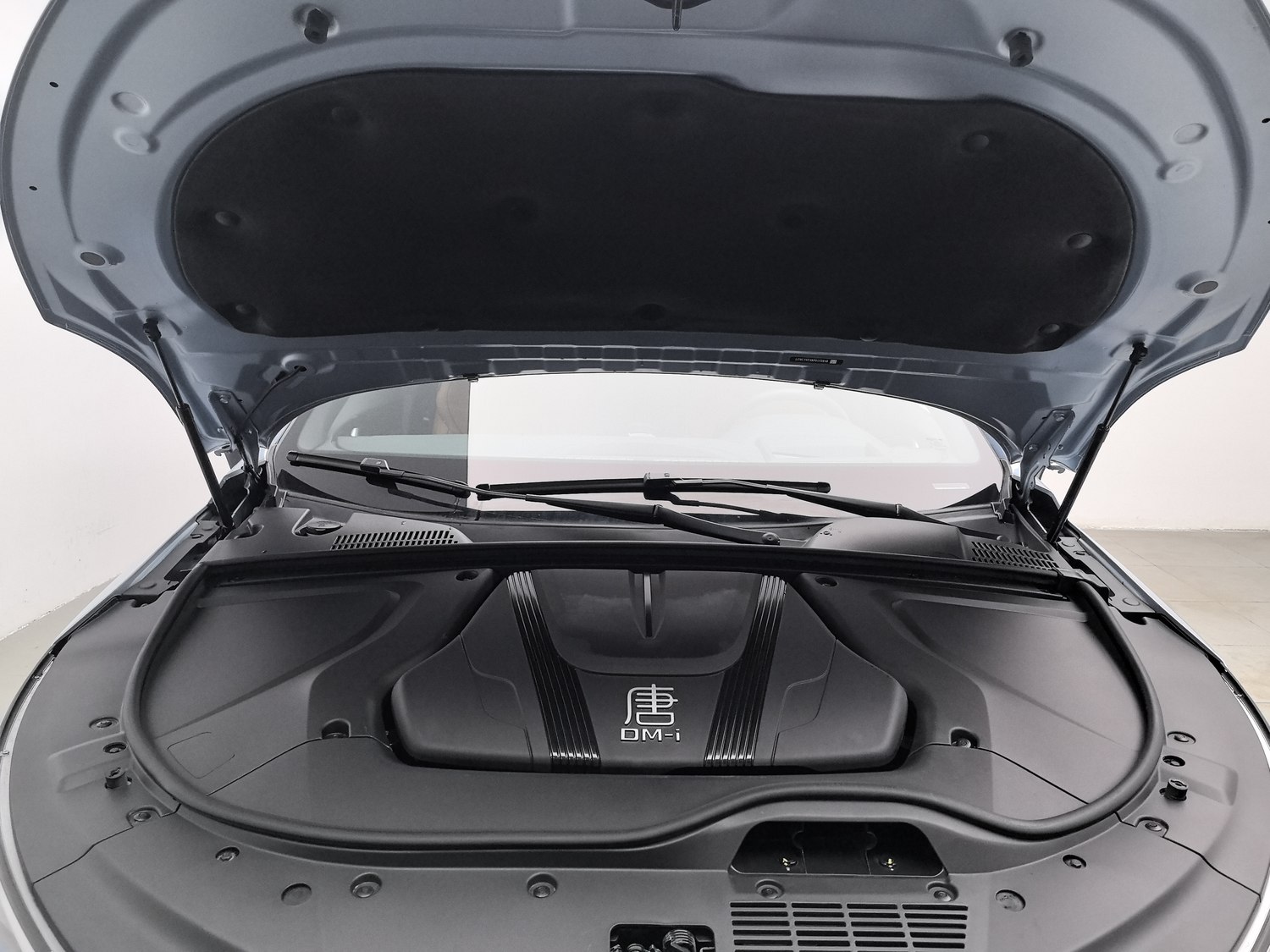 Used BYD Tang EV 2023 1.5 AT