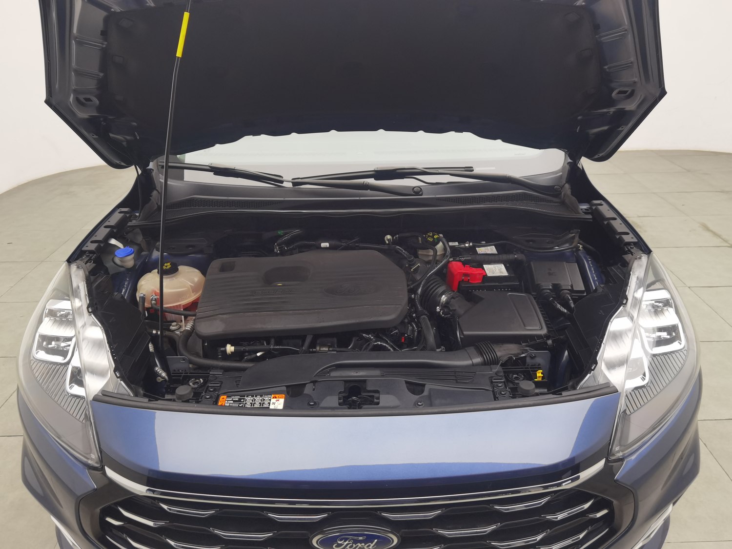 Used Ford Escape 2020 2.0 AT