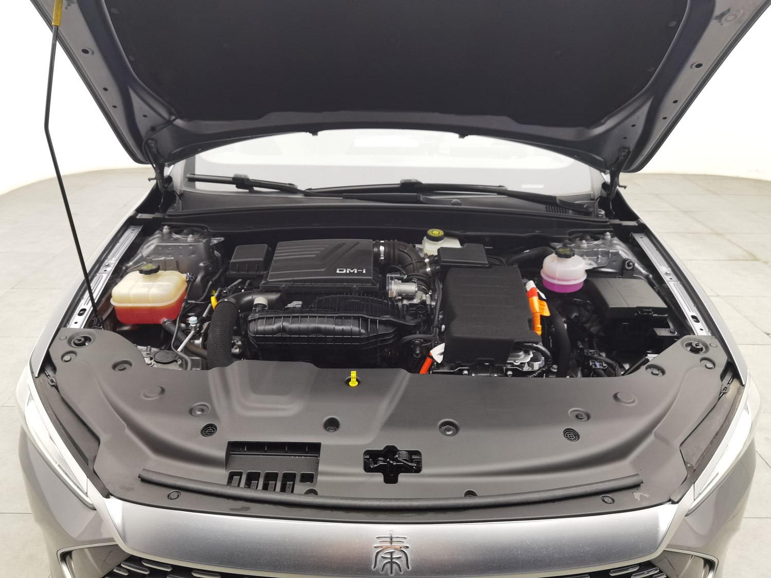 Used BYD Qin PLUS 2024 1.5 AT
