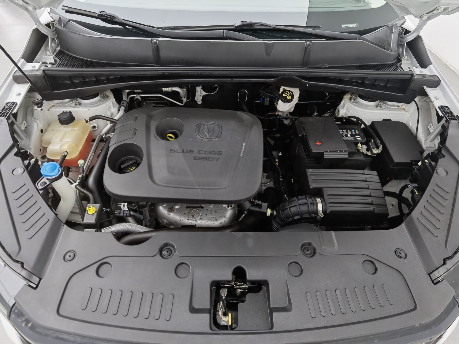 Used Changan CS55 PLUS 2020 1.5 MT