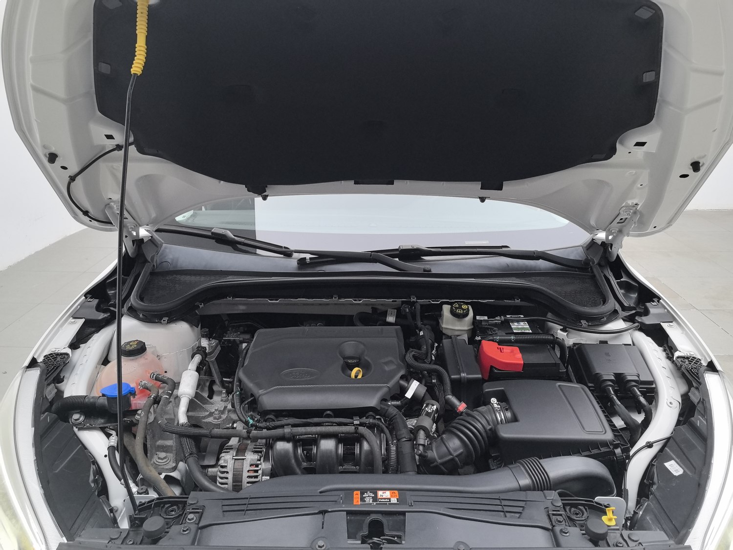 Used Ford Focus 2020 1.5 AT