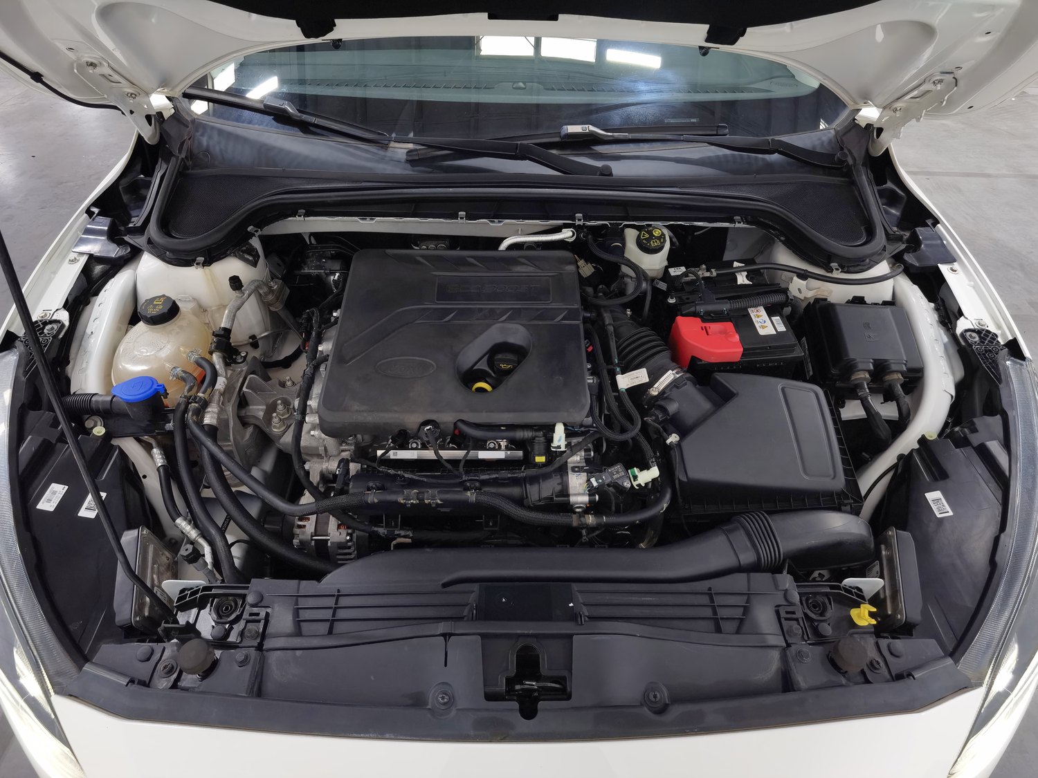 Used Ford Focus Active 2020 1.5 AT