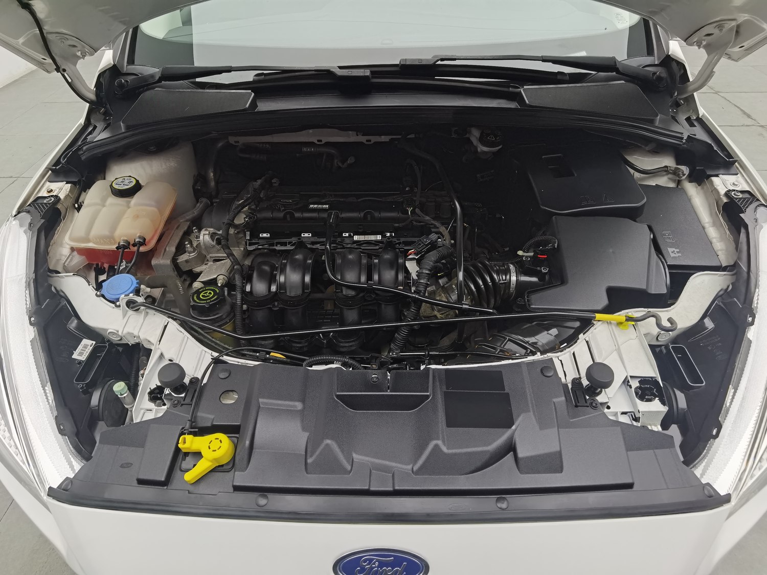 Used Ford Focus 2017 1.6 AT