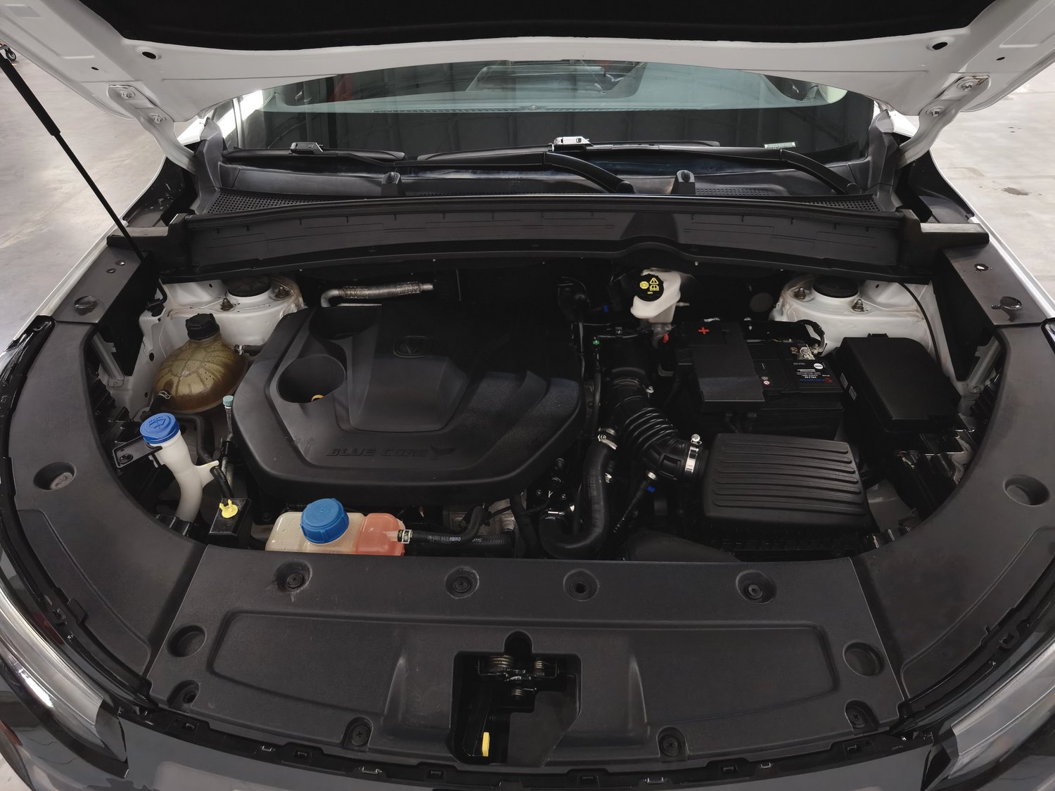 Used Changan CS55 PLUS 2022 1.5 AT