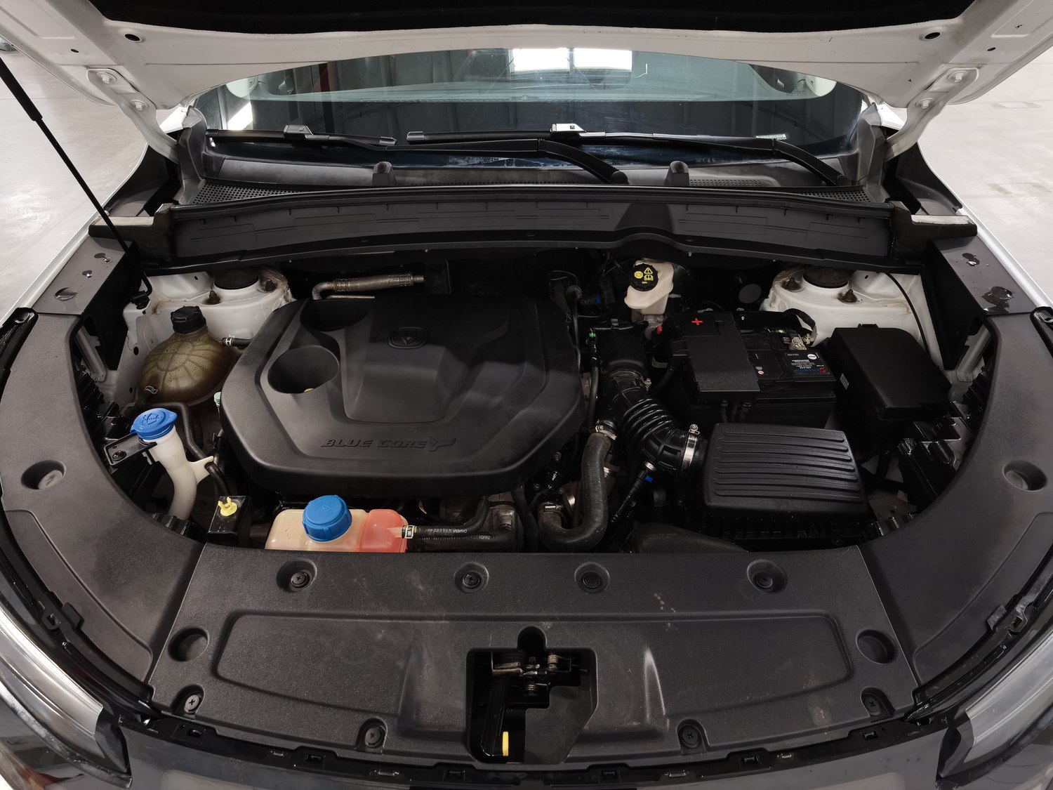 Used Changan CS55 PLUS 2022 1.5 AT