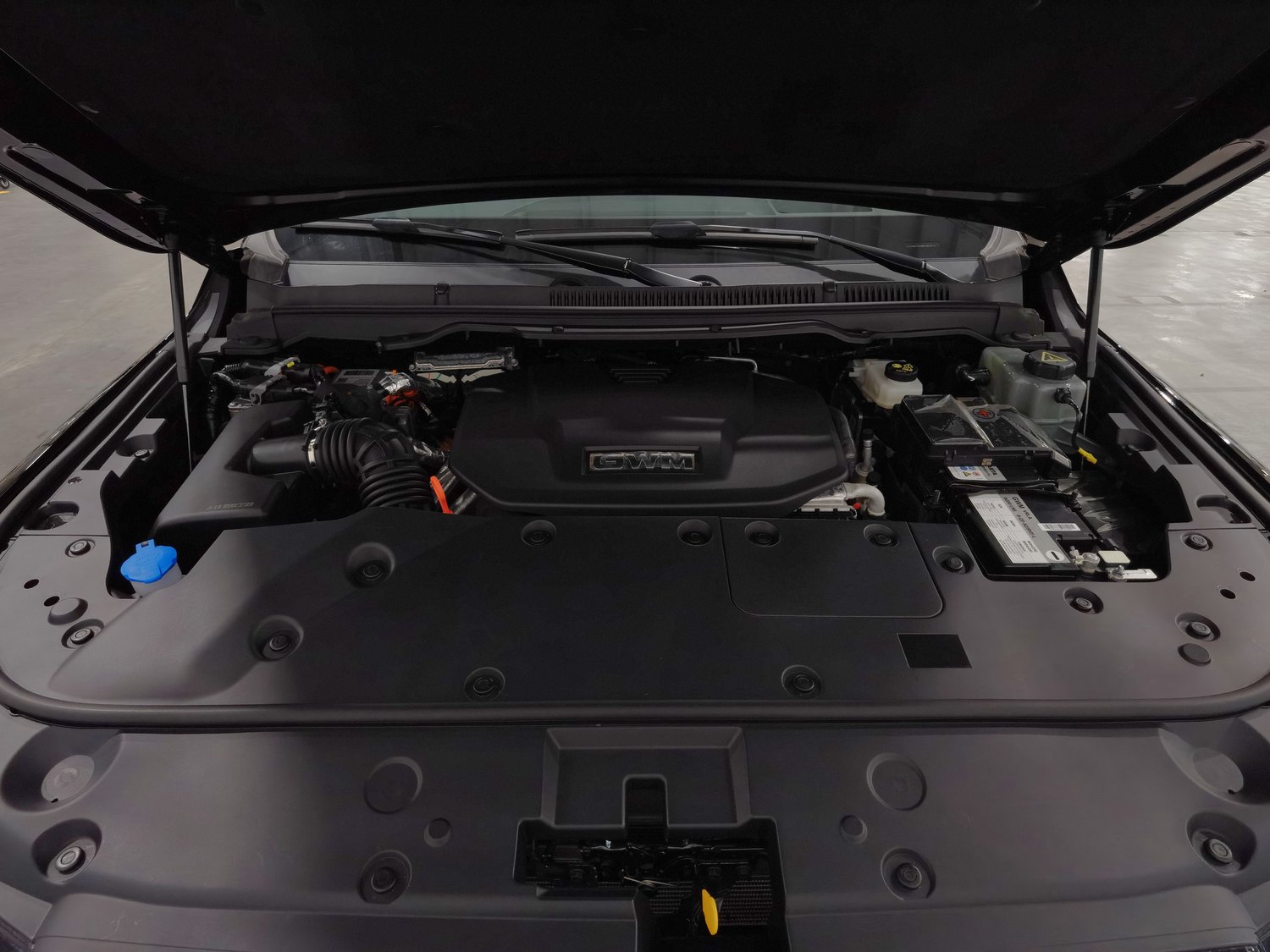 Used Tank 500 HEV 2024 2.0 AT
