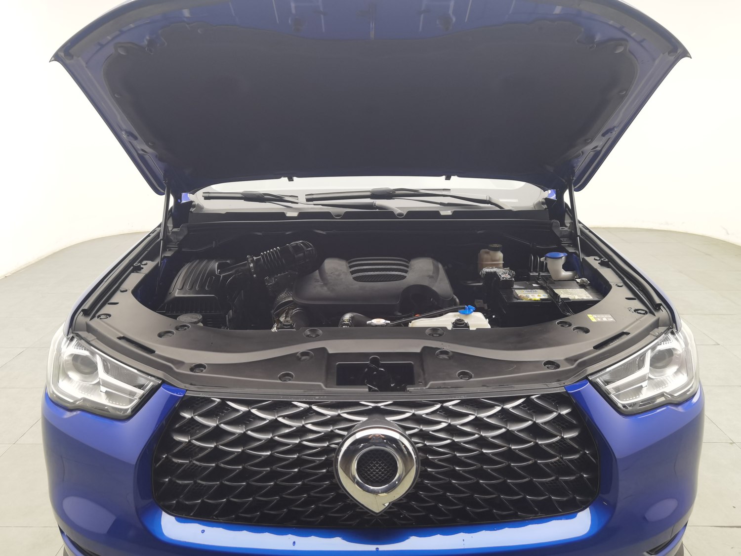 Used Great Wall Poer 2021 2.0 AT