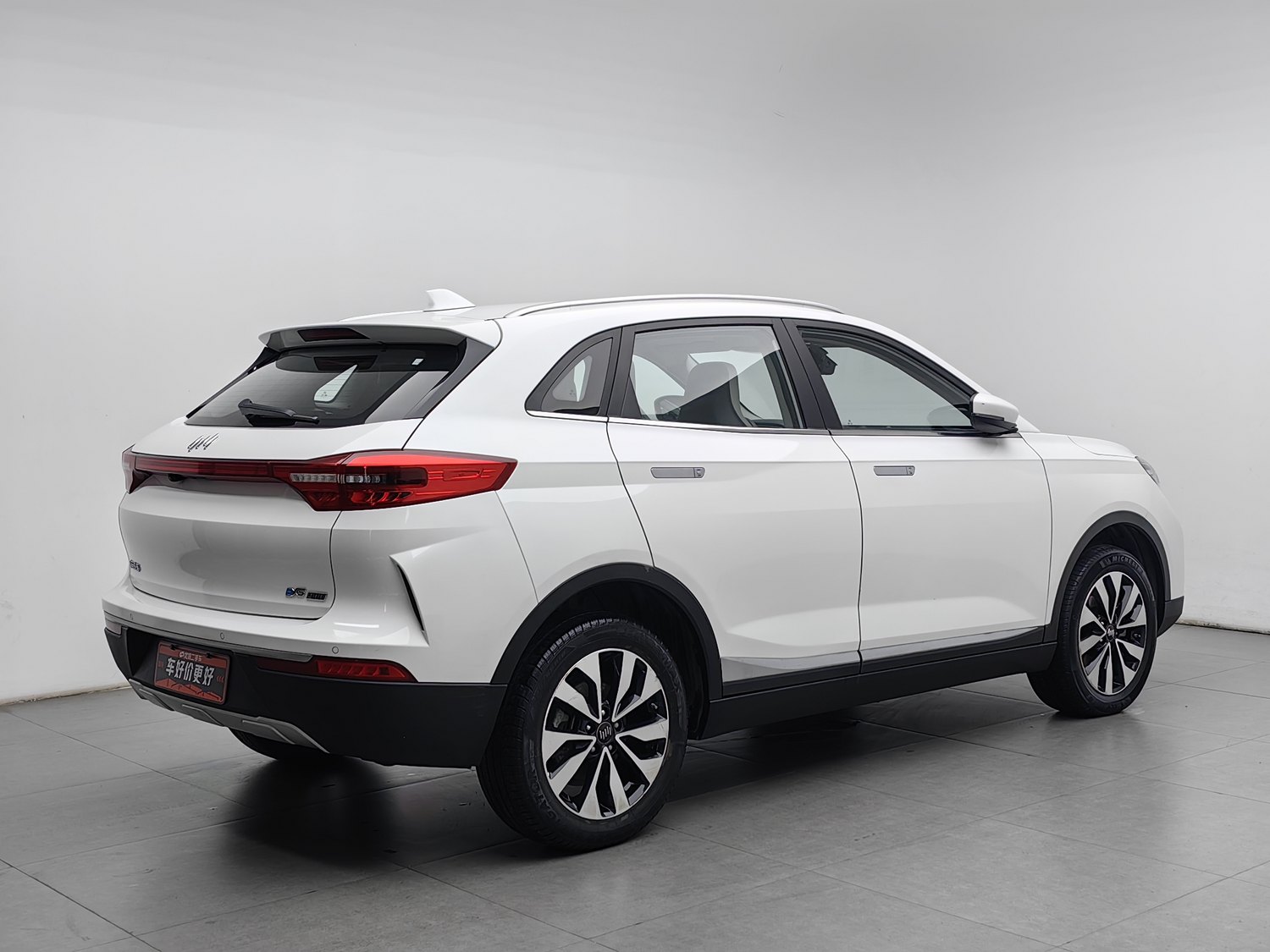 Used WM Motor 威马EX5 2019