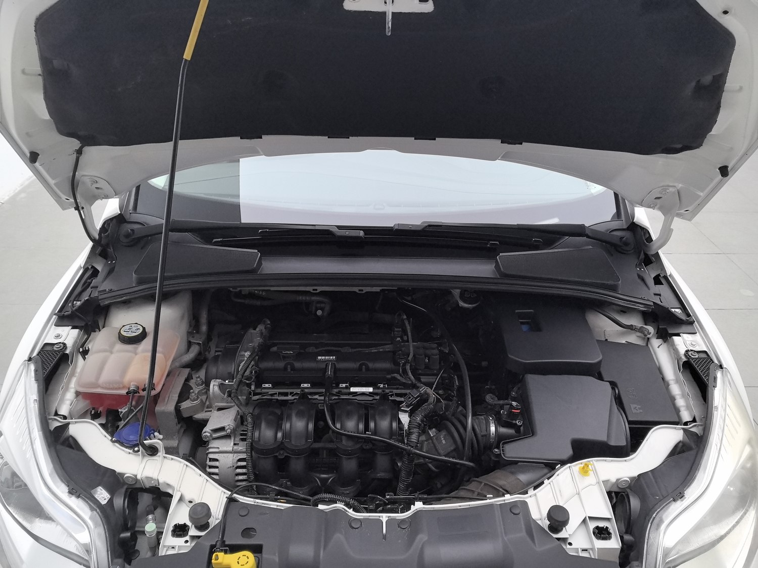 Used Ford Focus 2012 1.6 MT