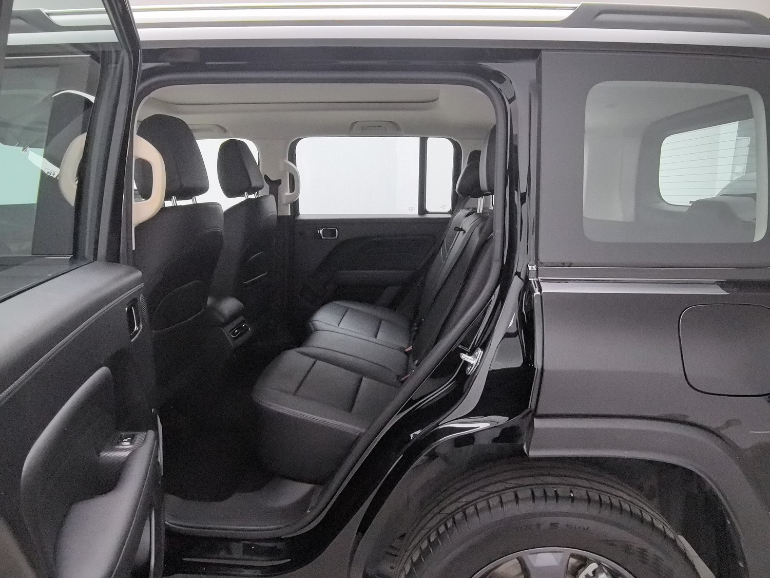Used Haval Menglong EV 2023 1.5 AT