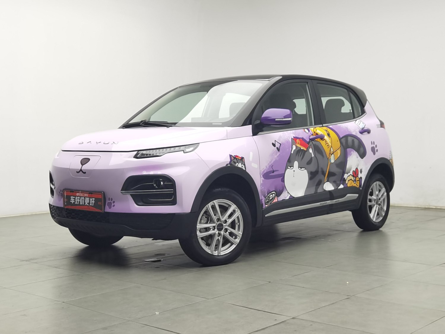 Used Dayun 悦虎 2022