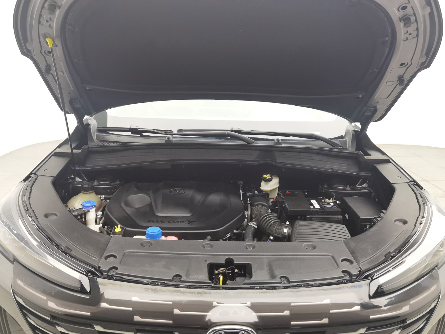 Used Changan CS55 PLUS 2022 1.5 AT