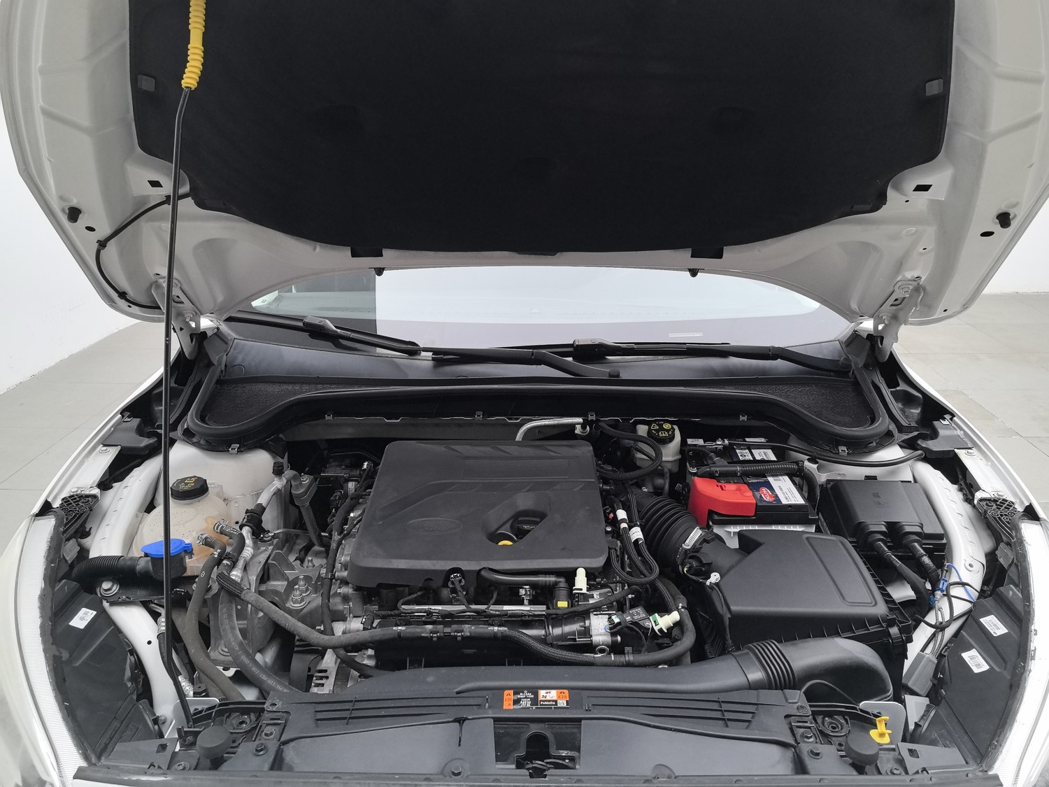Used Ford Focus 2020 1.5 AT