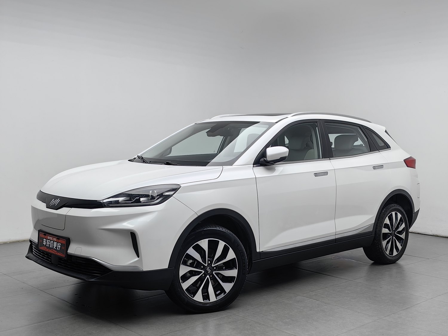 Used WM Motor 威马EX5 2019