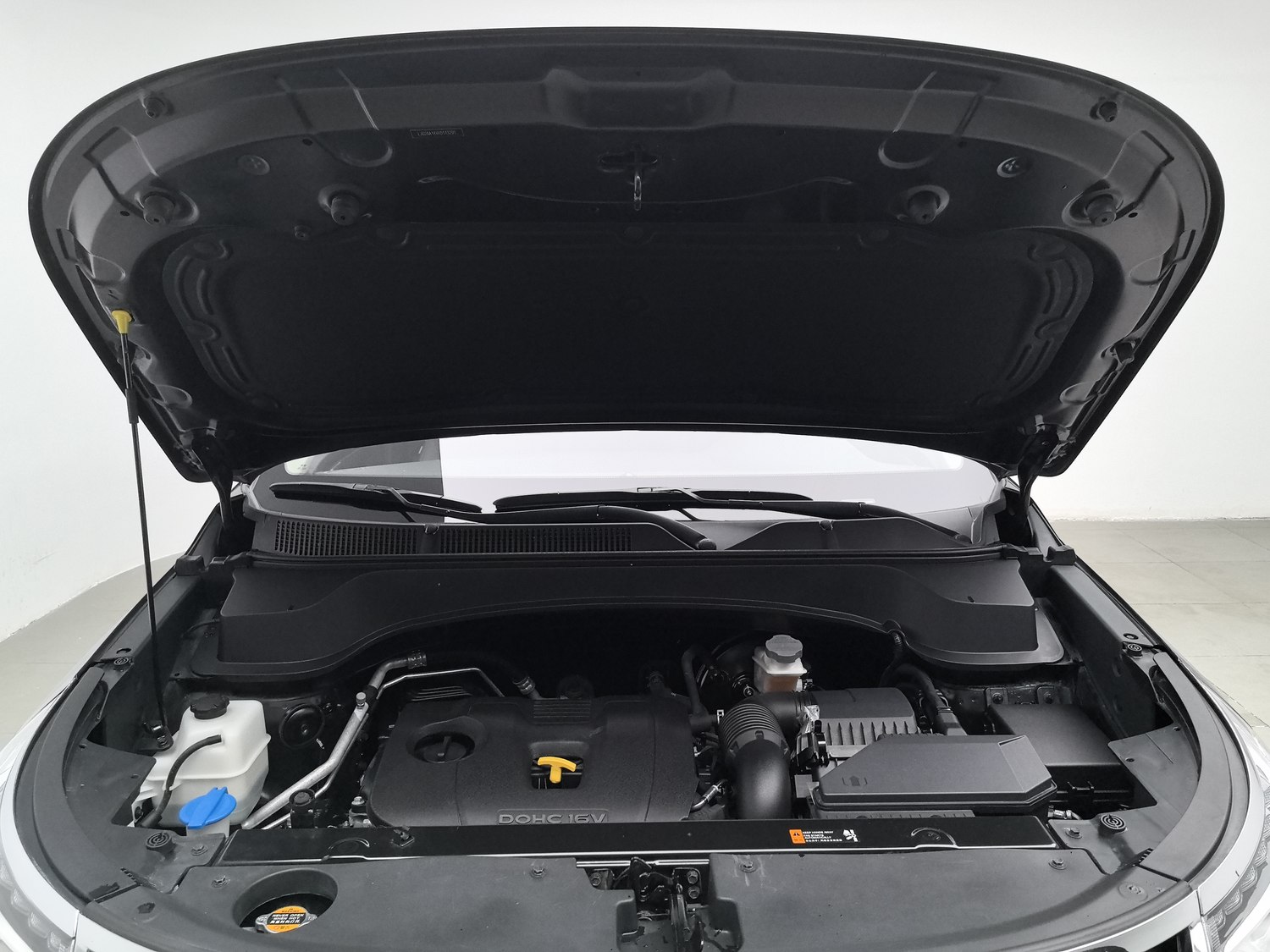 Used Kia Sportage 2019 2.0 AT