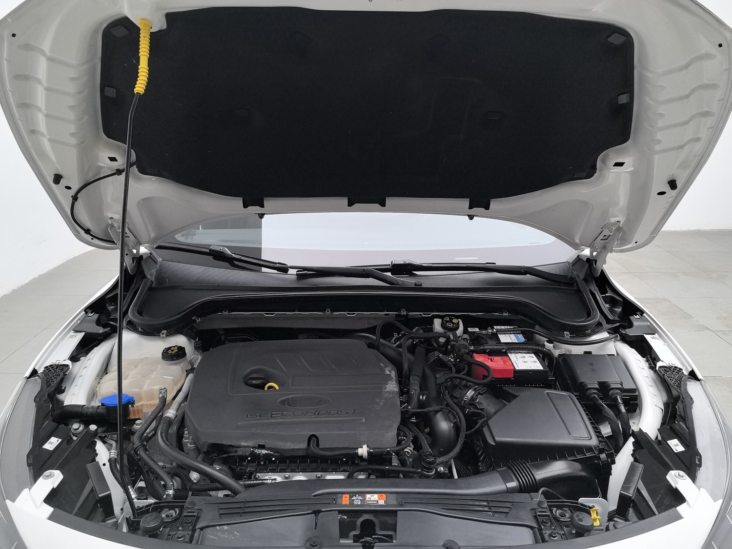 Used Ford Focus 2022 1.5 AT