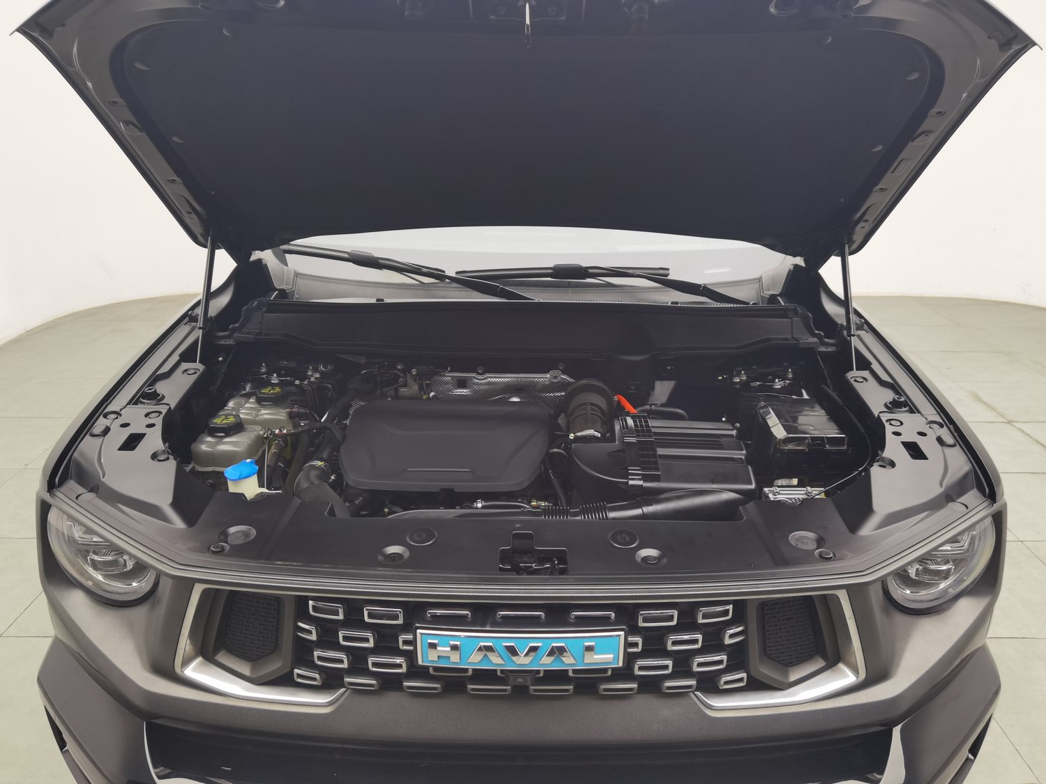 Used Haval 二代大狗 EV 2023 1.5 AT