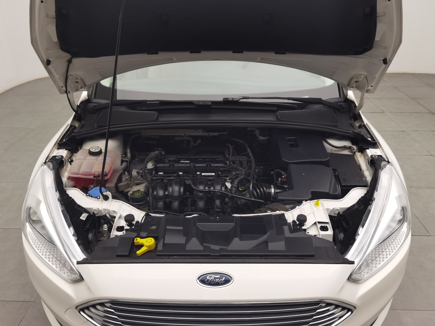 Used Ford Focus 2015 1.6 MT