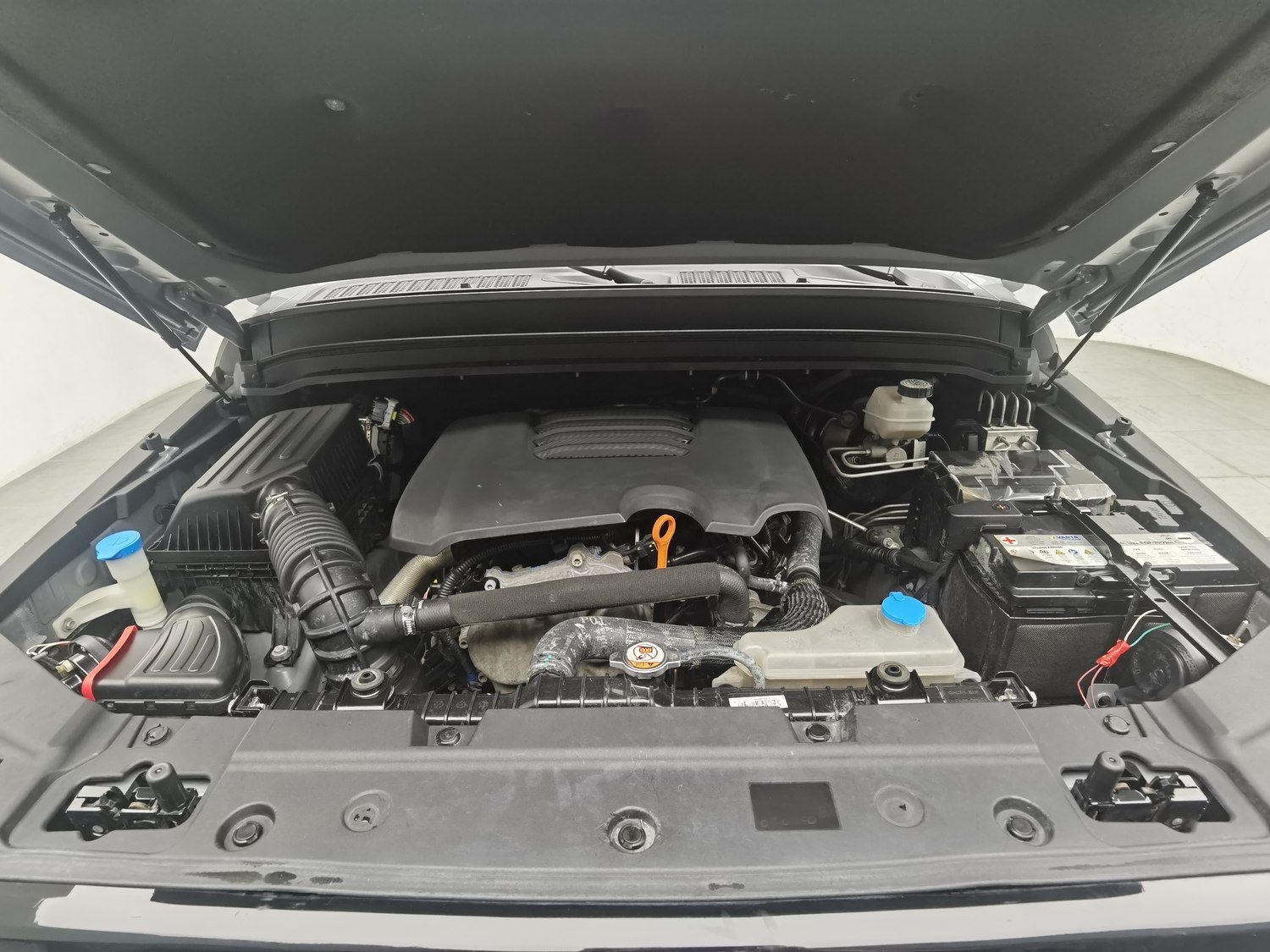 Used Tank 300 2021 2.0 AT