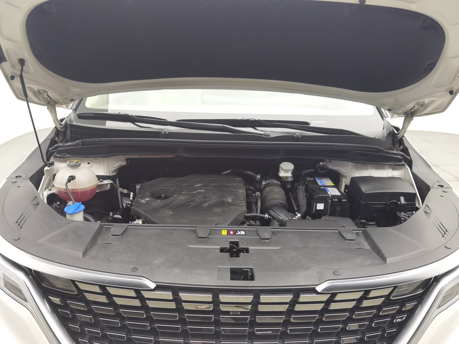 Used Kia Carnival 2021 2.0 AT