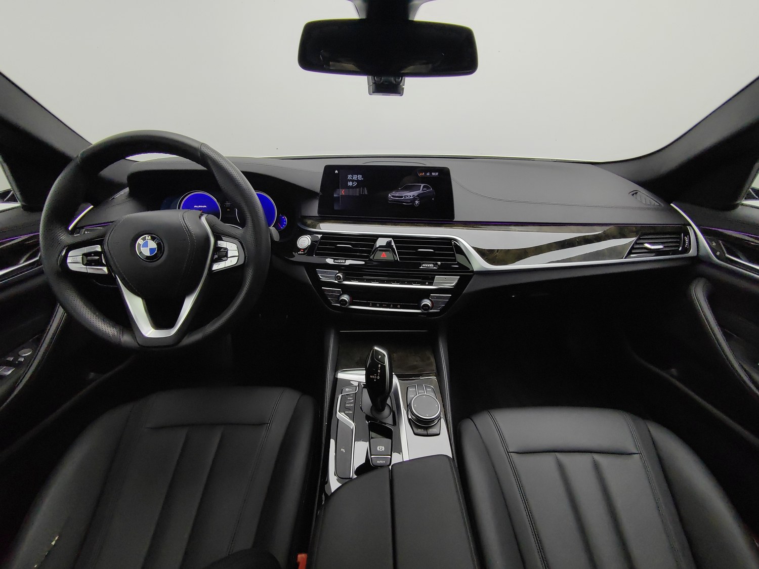 Used BMW 5 Series 2018 2.0 AT