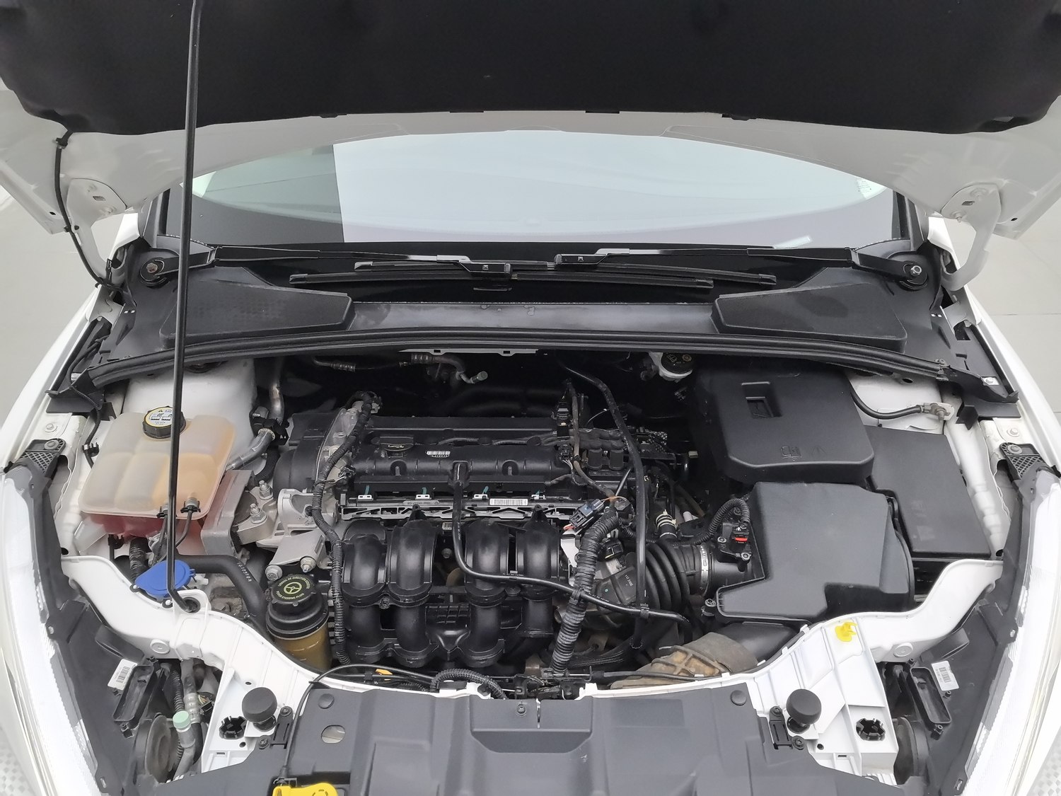 Used Ford Focus 2017 1.6 AT