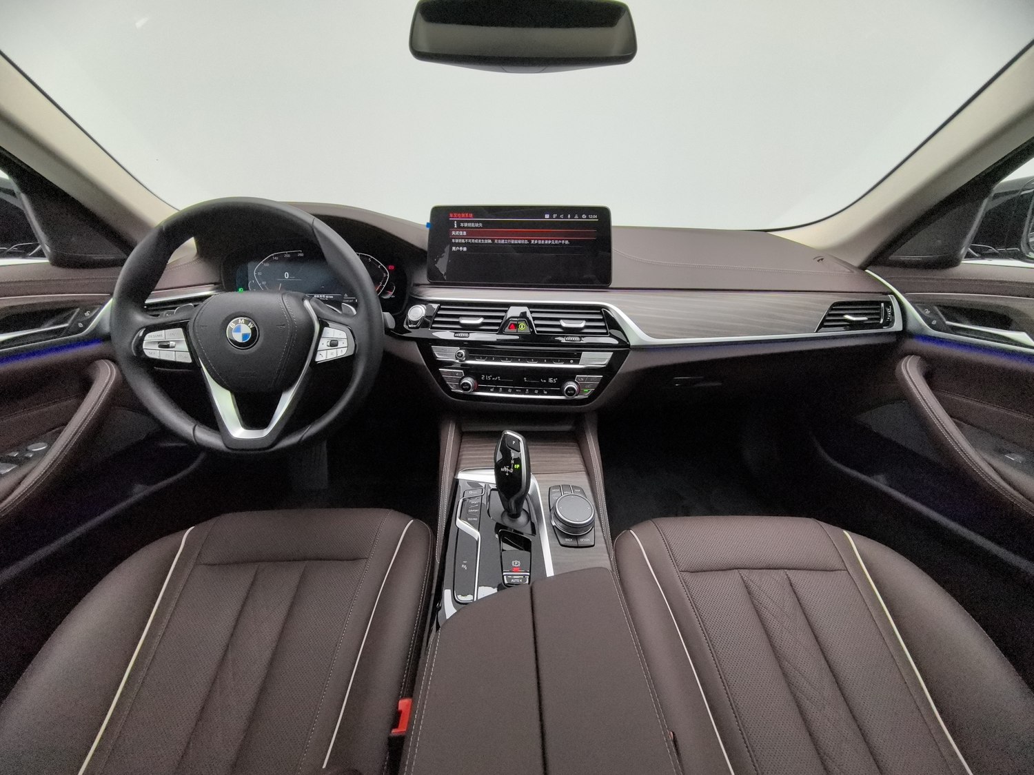 Used BMW 5 Series 2022 2.0 AT