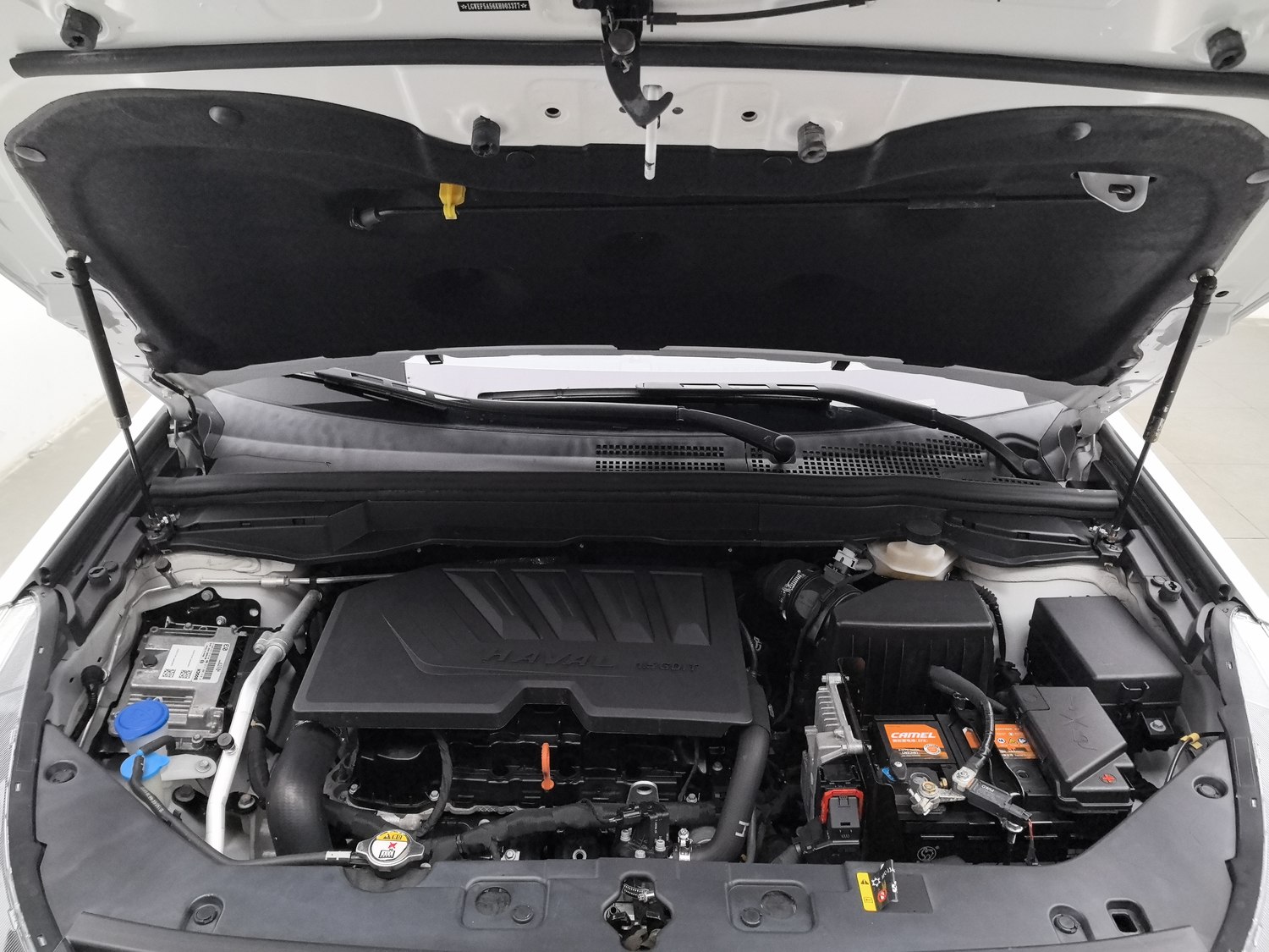 Used Haval H6 Coupe 2019 1.5 AT