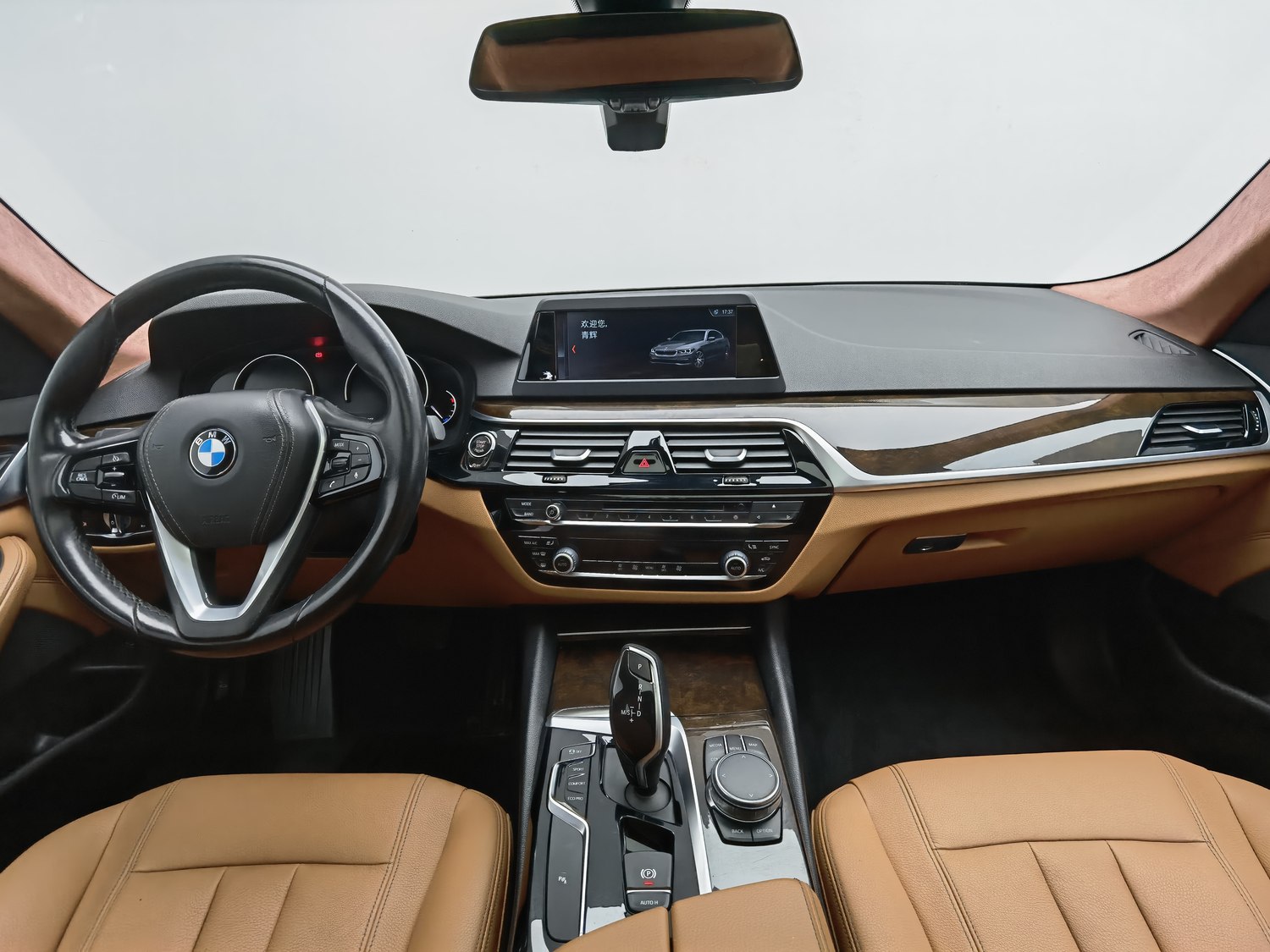 Used BMW 5 Series 2018 2.0 AT