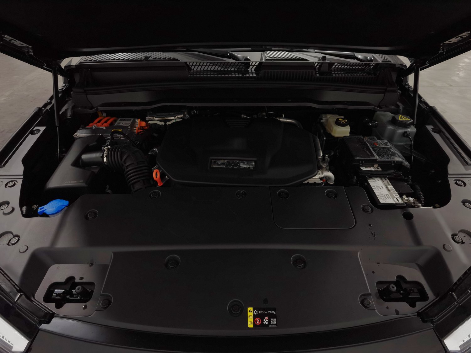 Used Tank 400 EV 2026 2.0 AT