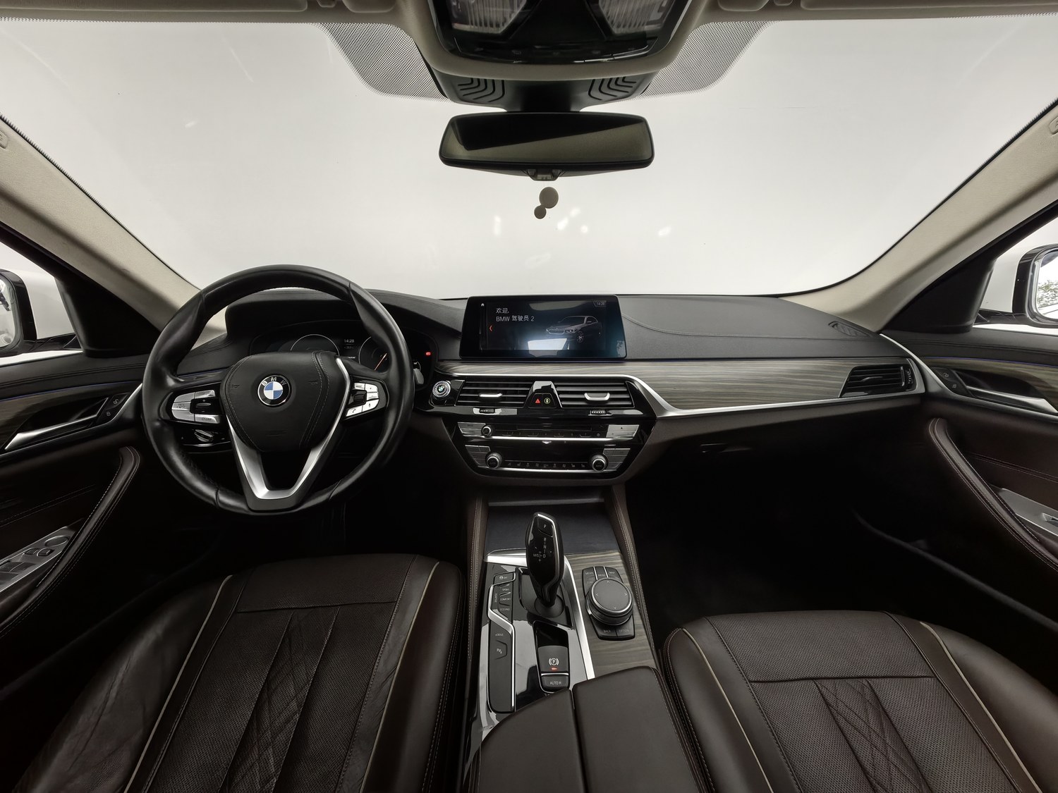 Used BMW 5 Series EV 2019 2.0 AT