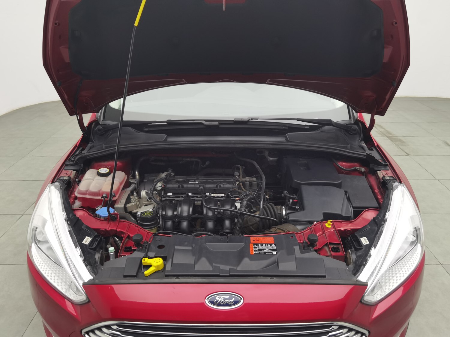 Used Ford Focus 2015 1.6 MT