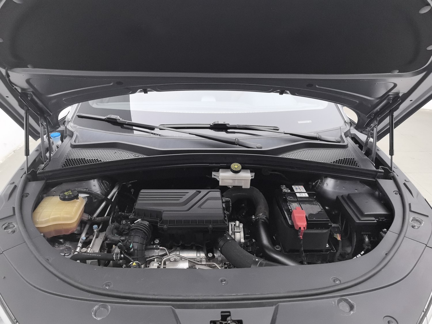 Used BYD Song PLUS 2020 1.5 AT