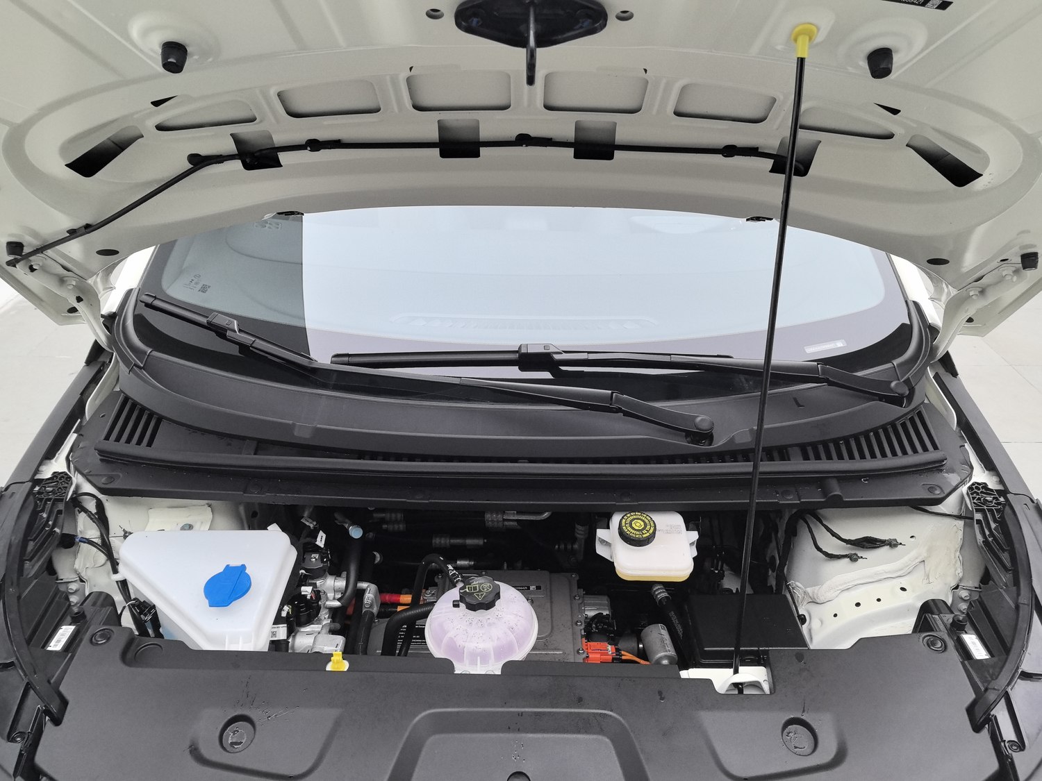 Used BYD Dolphin 2025