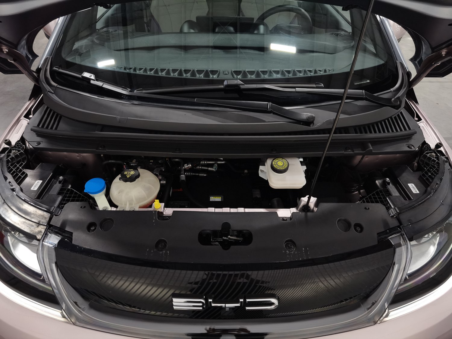 Used BYD Dolphin 2021